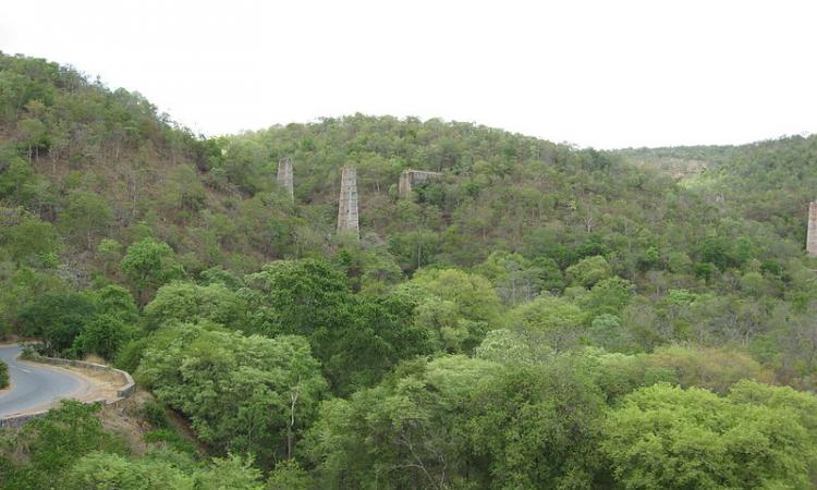 A view of the Nallamala Forests (Source: Wikimedia Commons)