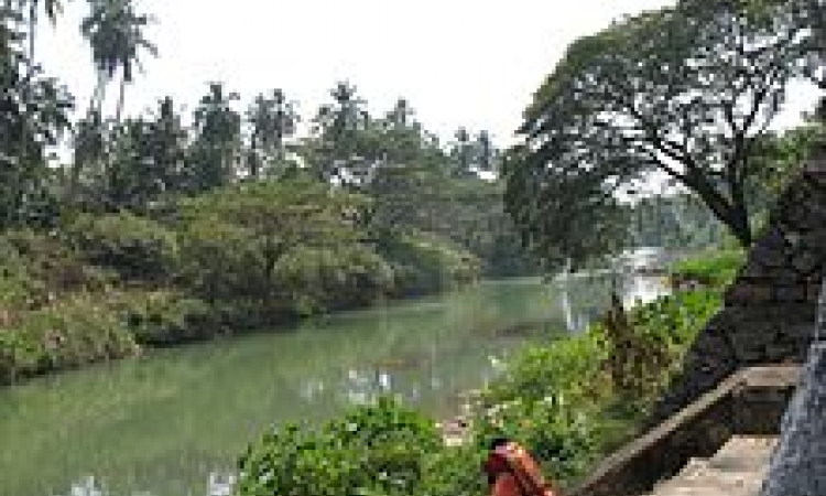 The Karamana River in Kerala – once revered but now shunned | India ...