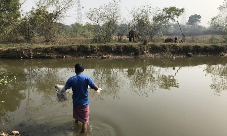 A water scheme violates Adivasi rights, threatens community water access and sacred spaces (Image: Anirudha Nagar, Accountability Counsel)