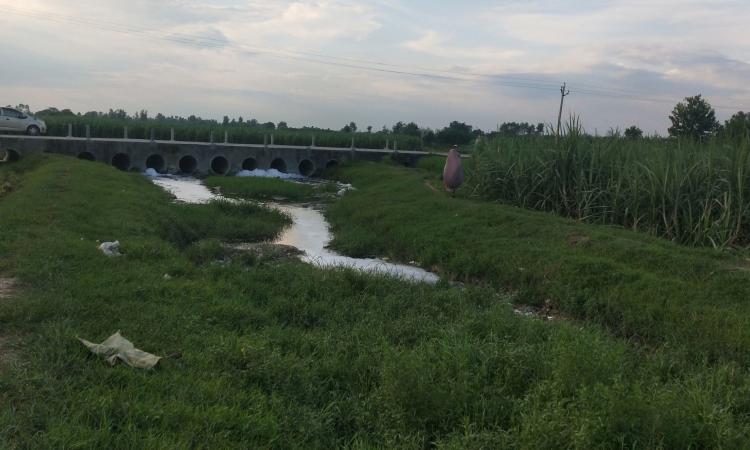 The Baand river is nearly dry even when the region saw above normal monsoon this year. Much of the riverbed is encroached by farms. (Image: Adeel Khan and Praharsh Patel)