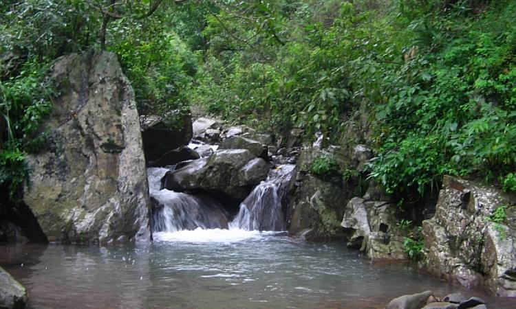 Springs not only provide humans with water but anchor entire ecosystems.