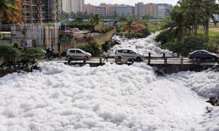 Bengaluru's infamous Bellandur Lake (Picture courtesy: Deccan Chronicle)