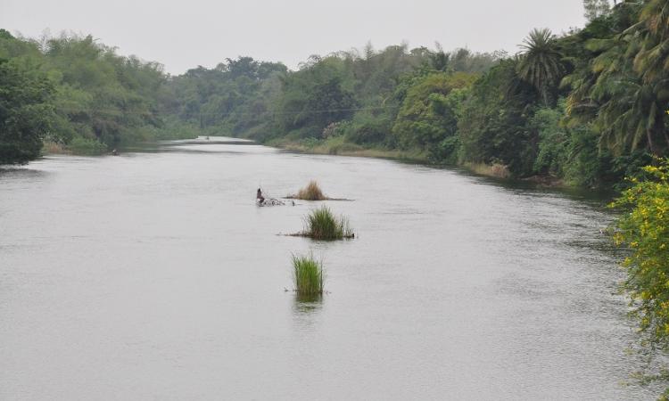 Cauvery river (Source: India Water Portal)