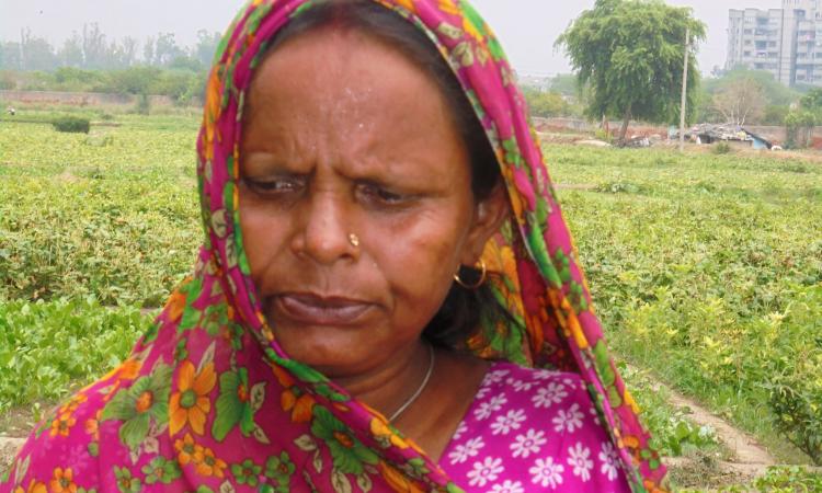 Thousands of farmers like Champa Devi (in pic) who were growing edible crops or doing fodder cultivation on the riverbed and its floodplains took the brunt of the court’s decision.