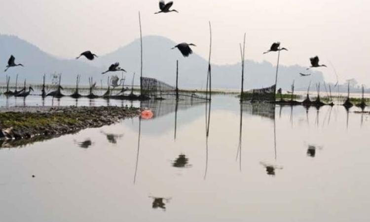 Deepor beel, Assam (Source : India Water Portal)
