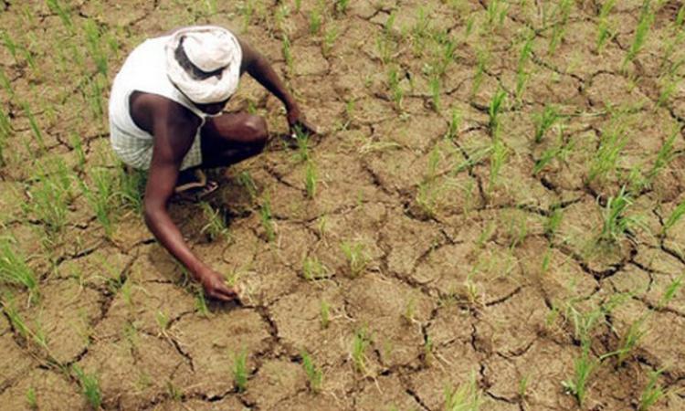 Parched land (Image courtesy: Ink Freezer)