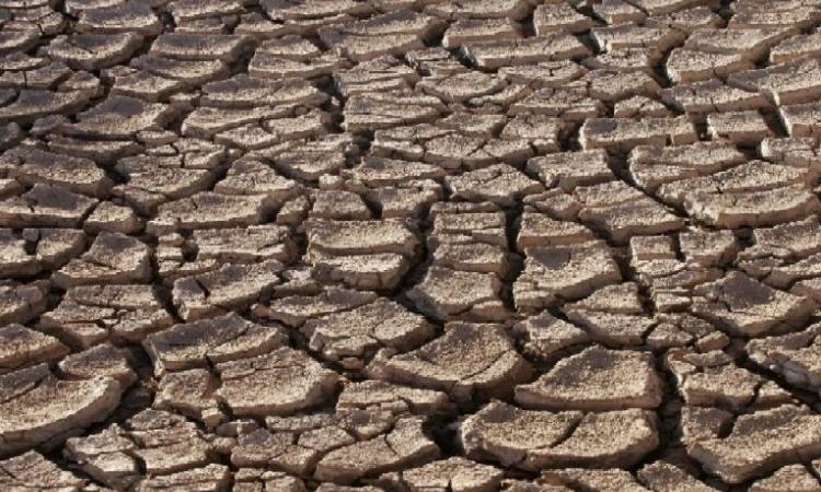 India will see more droughts in the future. (Image Source: Wikimedia Commons)