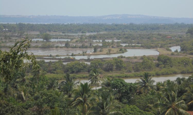 Aerial view of Khazan seen in Zuari river