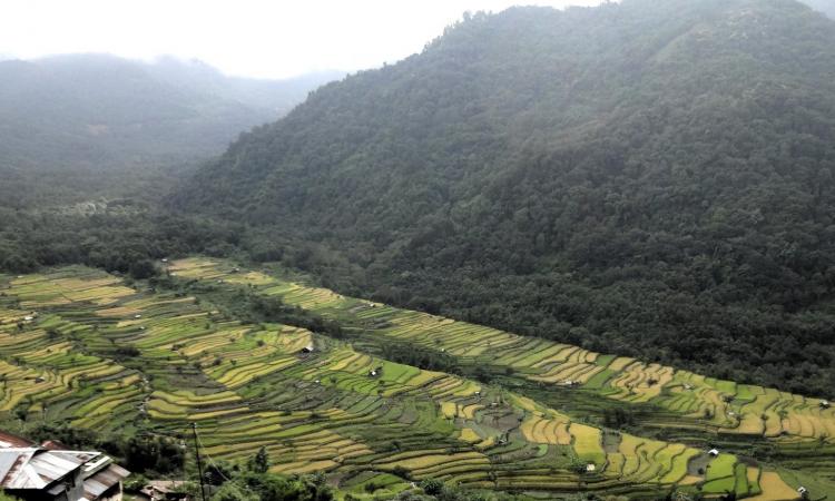 Terraced farming is the norm in mountain states