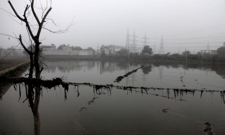 Waterlogged fields in Udeekaran village