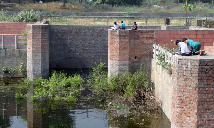 Children look for water snakes in the pond