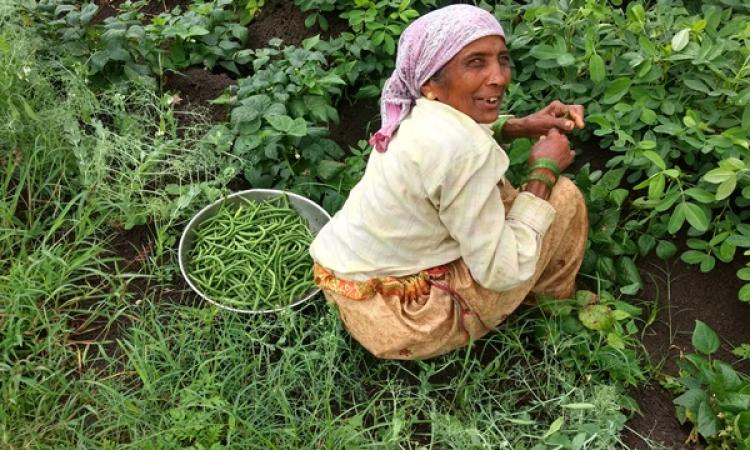 Empowering women to improve nutritional outcomes (Image Source: India Water Portal)