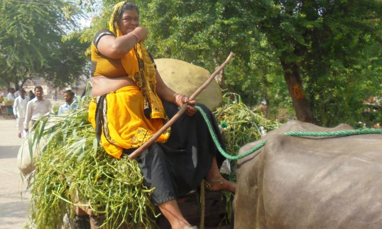 It's her field too: Policies and budgets for women are a good beginning towards gender parity in agriculture.  