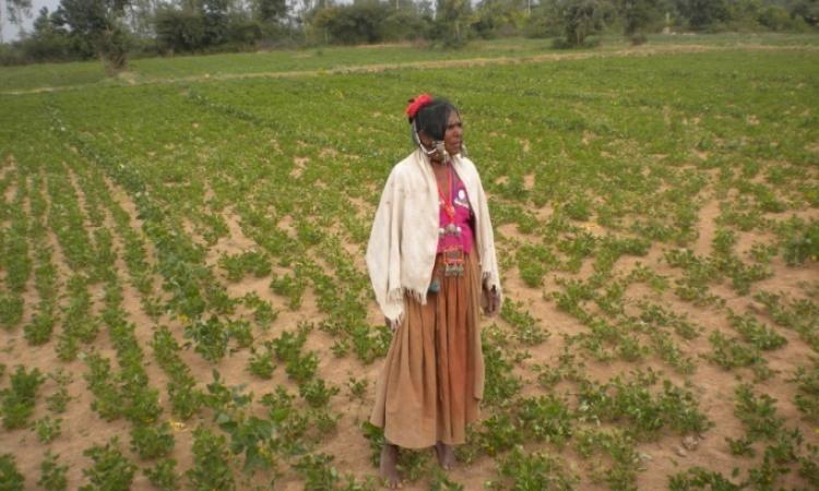 Gamalibai on her farm