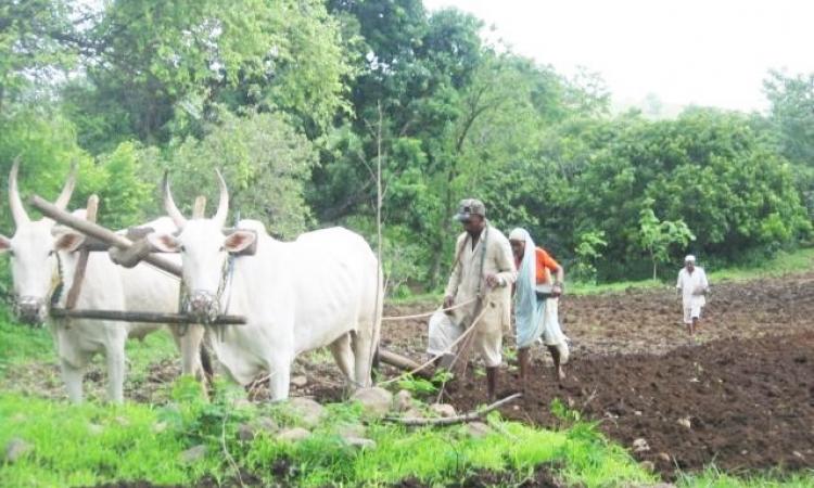 Farmers and the agricultural crisis (Source: India Water Portal)