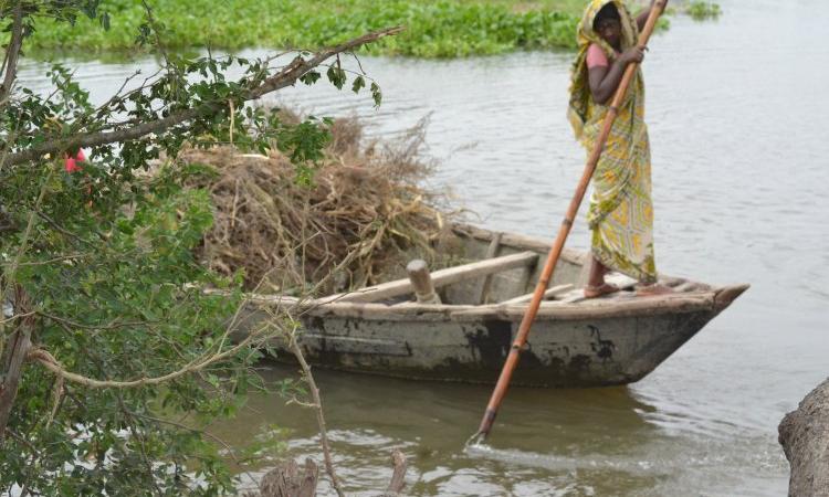 Floods in Bihar (Source: Usha Dewani, IWP)