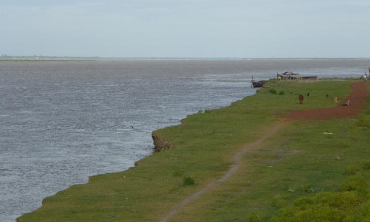 The lower Ganga, just upstream of Farakka, displays bank-cutting and erosion.