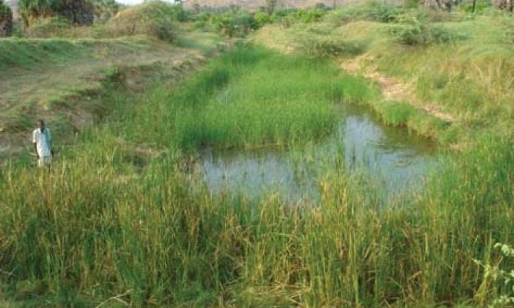 Gonchi irrigation system in Anantapur