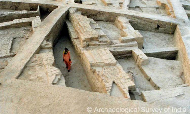 A narrow lane flanked by houses at Bhirrana. Source: Archaeological Survey of India