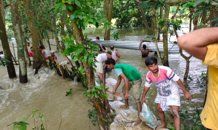 Locals engaged in repair of broken embankment in Darbhanga (Source: Umesh Kumar Ray)