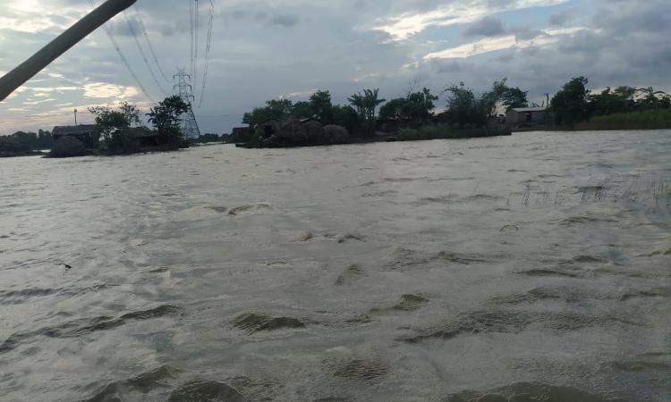 Havoc of floods in Saharsa (Source: Umesh K Ray)