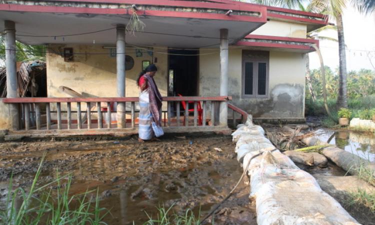 One of the sinking houses of Munroe Island.