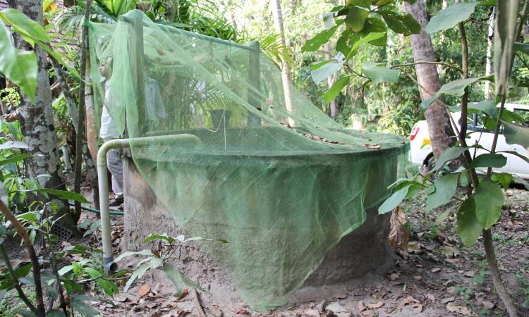 Rainwater diverted into an open well in Thrissur