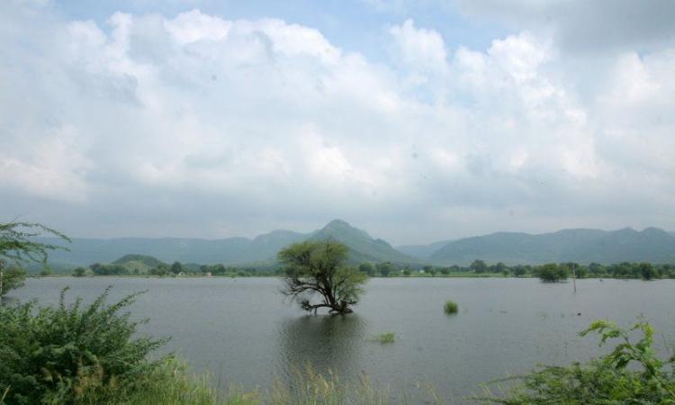 Johads in Nanduwali nadi region (Image: Farhad Contractor, IWP Flickr)