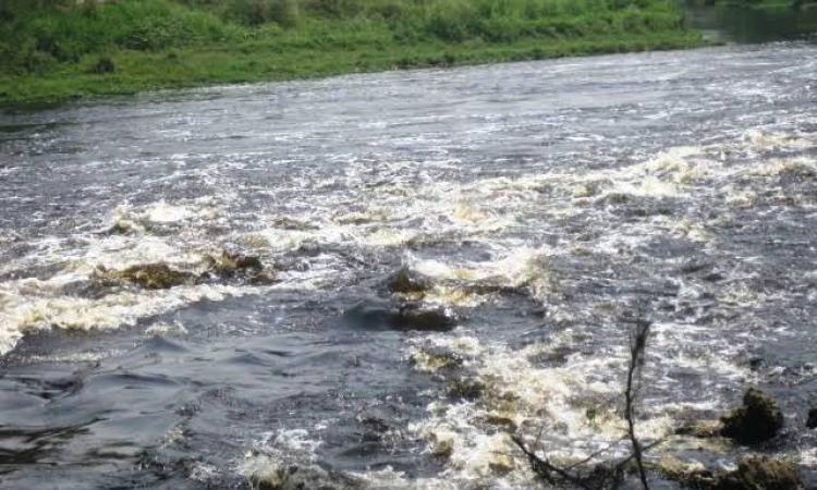 The polluted Kali river. (Image source: Neer Foundation)