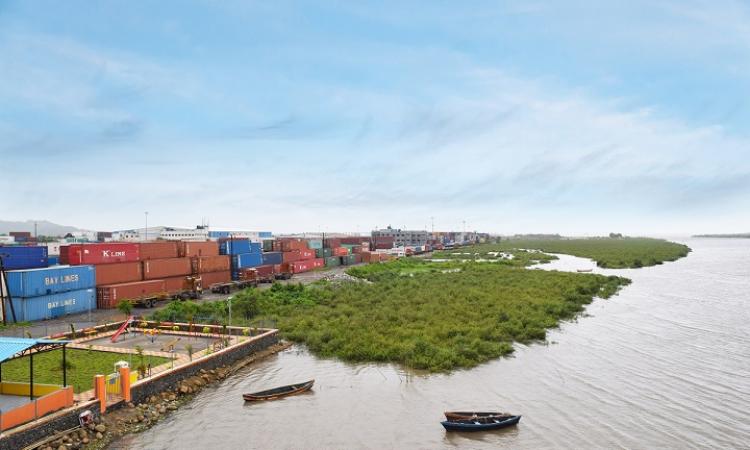 Mumbai wetland (Source:Wikipedia)