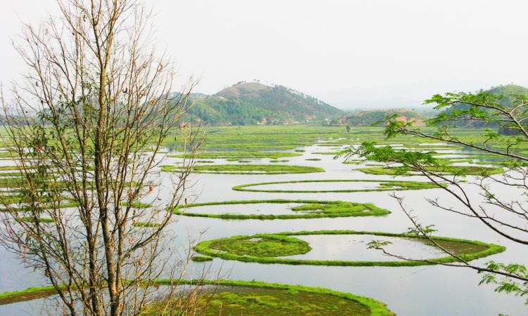 Loktak lake (Source: India Water Portal)