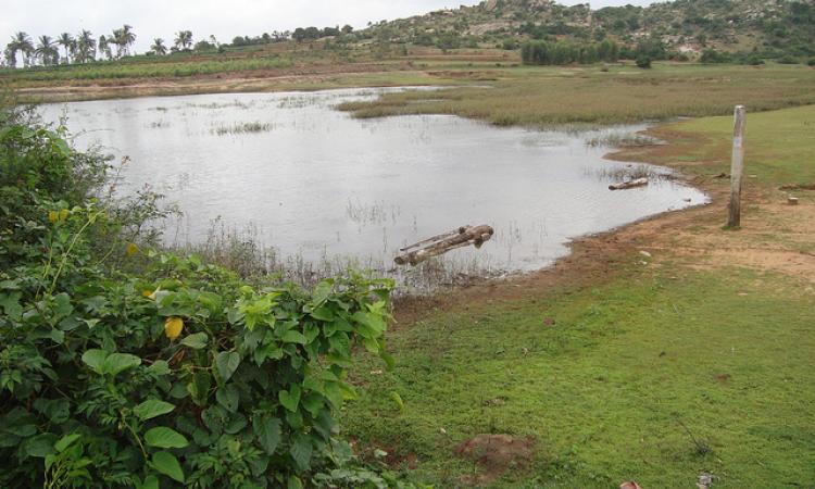 Madakas and Pallas of Southern India