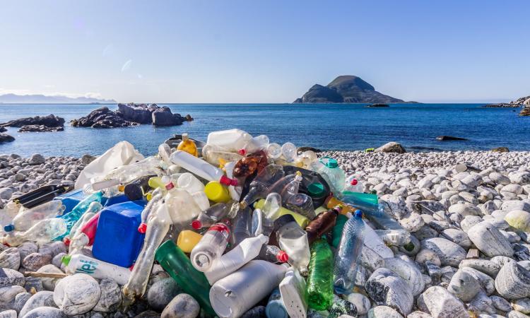 Marine litter. Plastic bottles on a beach. (Image: Bo Eide, Flickr Commons; CC BY-NC-ND 2.0)