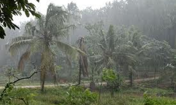 Monsoon hits Kerala