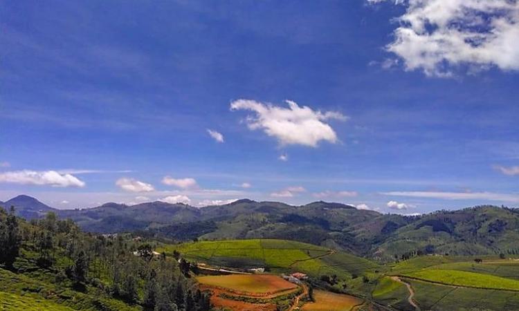 A view of the Nilgiris (Image credits: Golkul Halan)