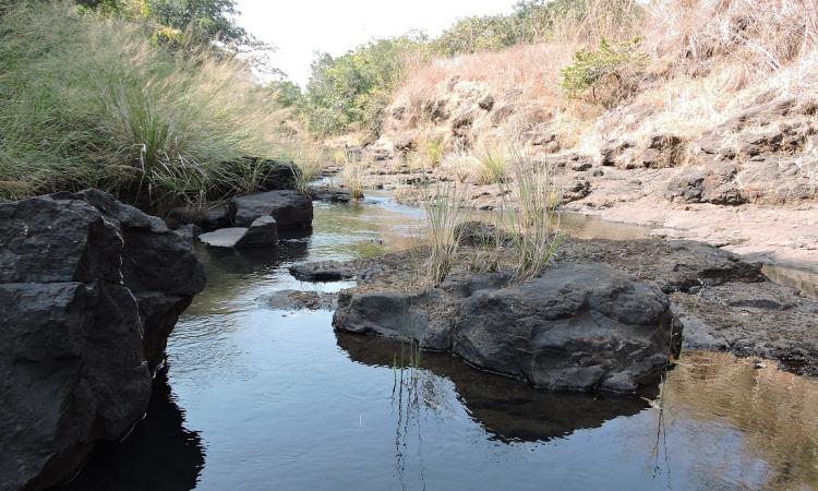 The Mahadayi or the Mandovi river, shared between Karnataka and Goa for their water needs, is a bone of contention between the two states.