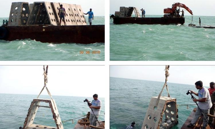 Artificial reefs get immersed in the sea. (Source: India Science Wire)