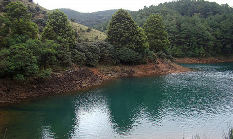 Bhavani river