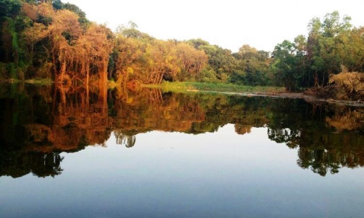 The river Krishna at Wai (Source: Makarand Shende)