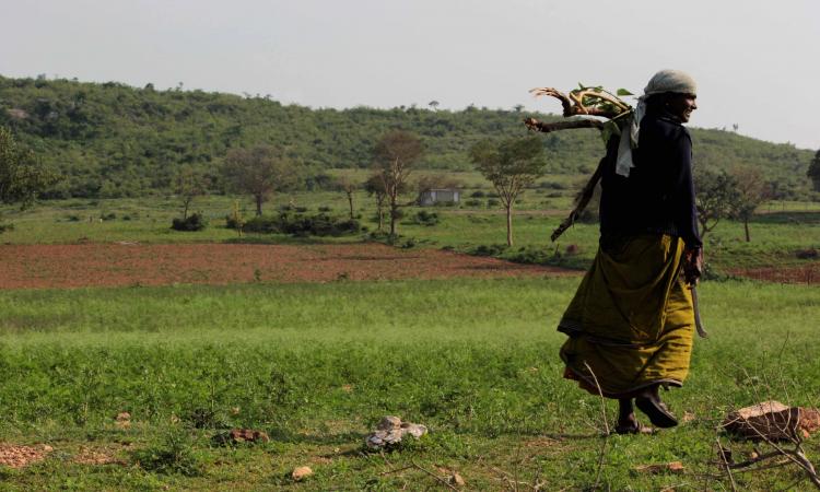 Large population of scheduled caste, and other communities reside in or around protected areas of the basin.