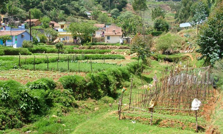 A stream flowing through a settlement and farms.